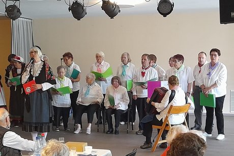 Sängergruppe "Die Platte lebt"