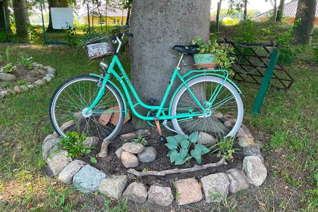 Gr&uuml;nes Fahrrad am Baum
