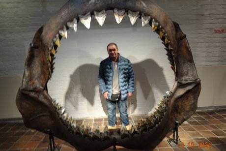 Meeresmuseum in Stralsund