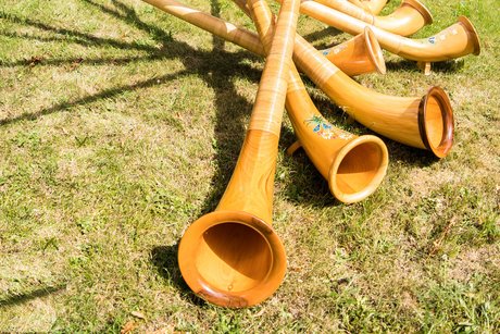 Foto mit mehreren Alph&ouml;rnern