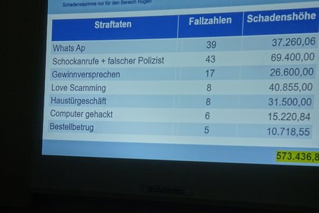 Statistischer Überblick über Fallzahlen und Schadenshöhen