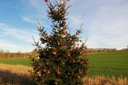 Weihnachtsfeier Weihnachtsbaum