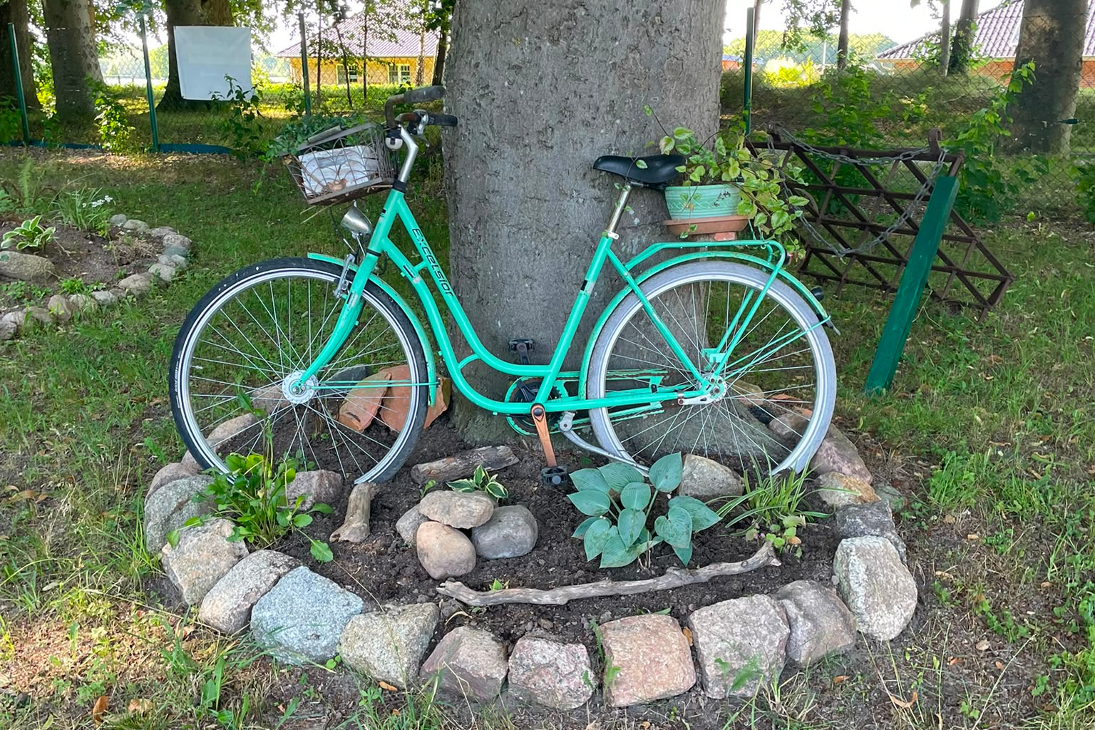 Grünes Fahrrad am Baum